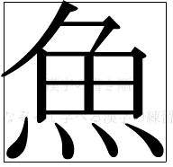 漢字の書き順 漢字の魚_11画目