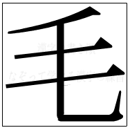 漢字の書き順 漢字の毛_4画目